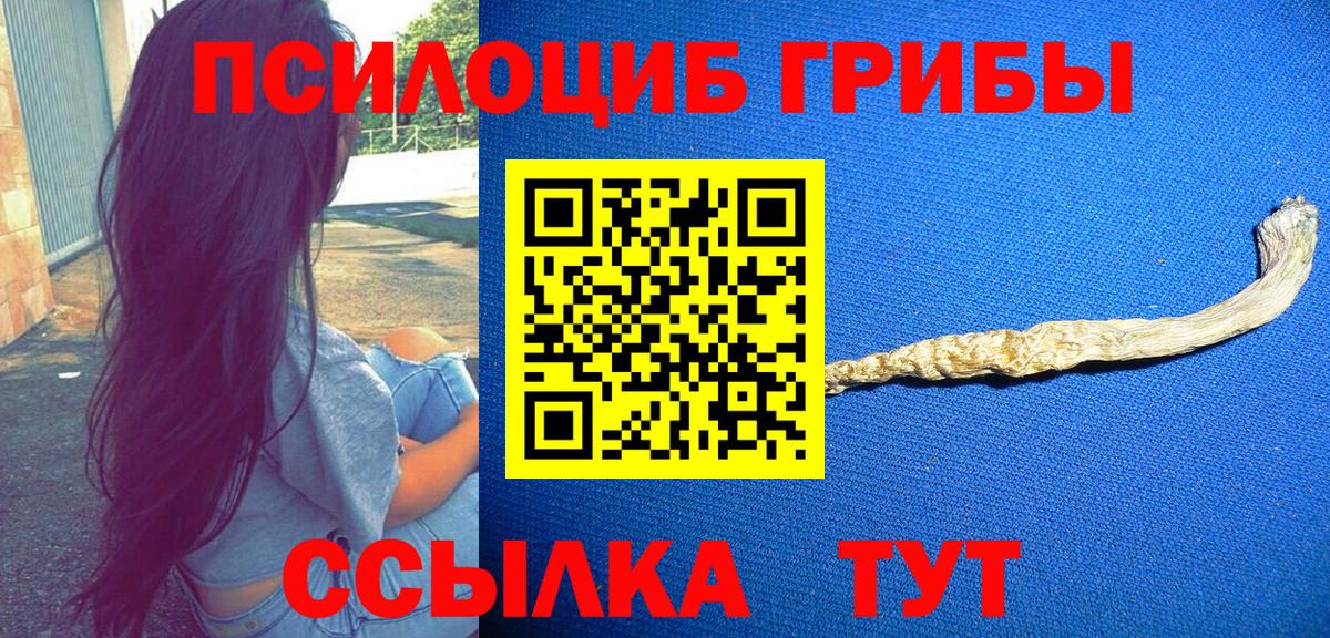 Галлюциногенные грибы Psilocybe Минеральные Воды