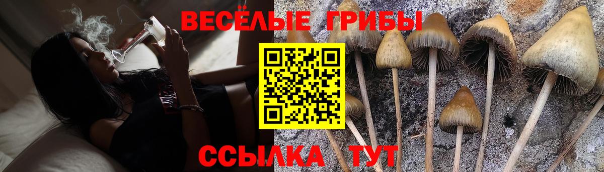Минеральные Воды  Псилоцибиновые грибы Magic Shrooms  Галлюциногенные грибы Psilocybine cubensis  наркотики  Вход с VPN 